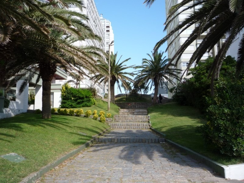 Departamento en alquiler con hermosas vistas al Puerto!